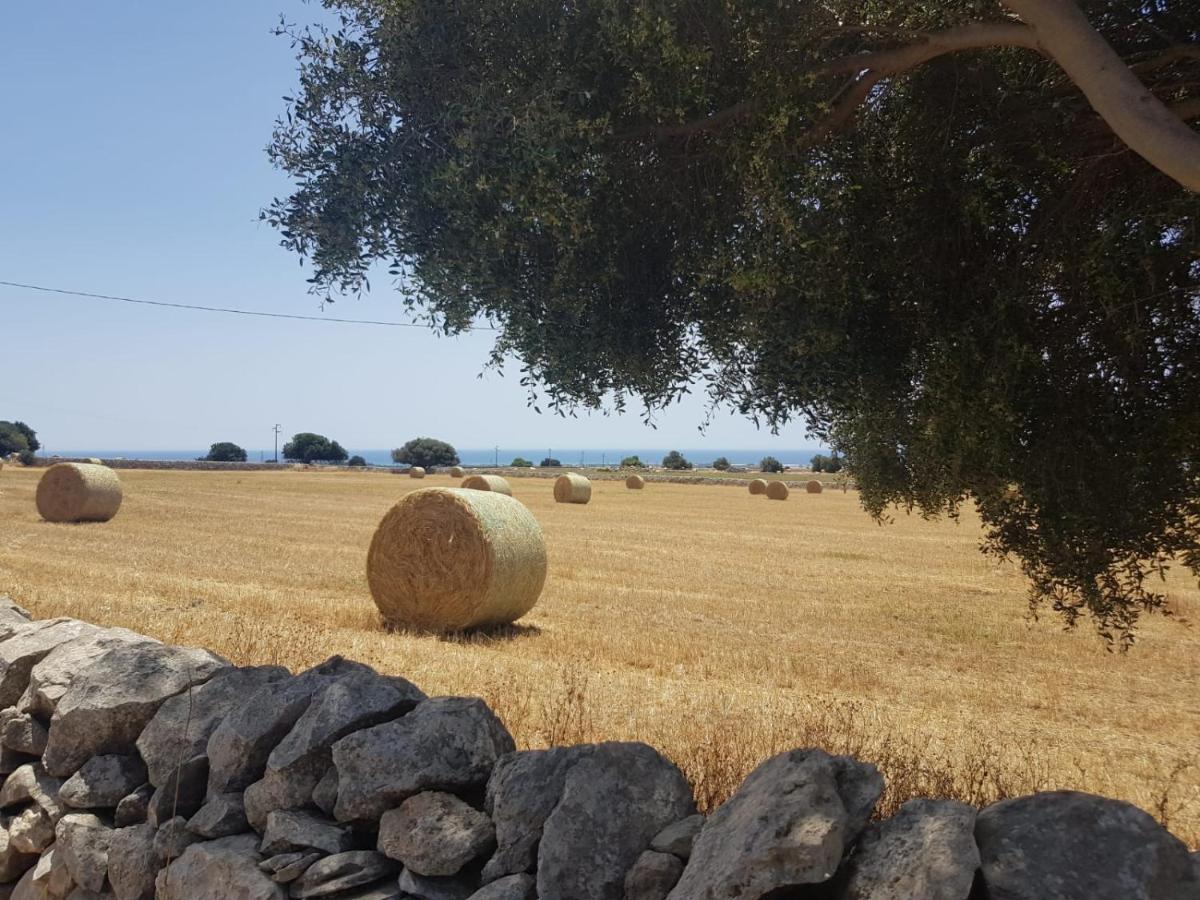 Homidoo Country Apartment Santa Croce Camerina Bagian luar foto